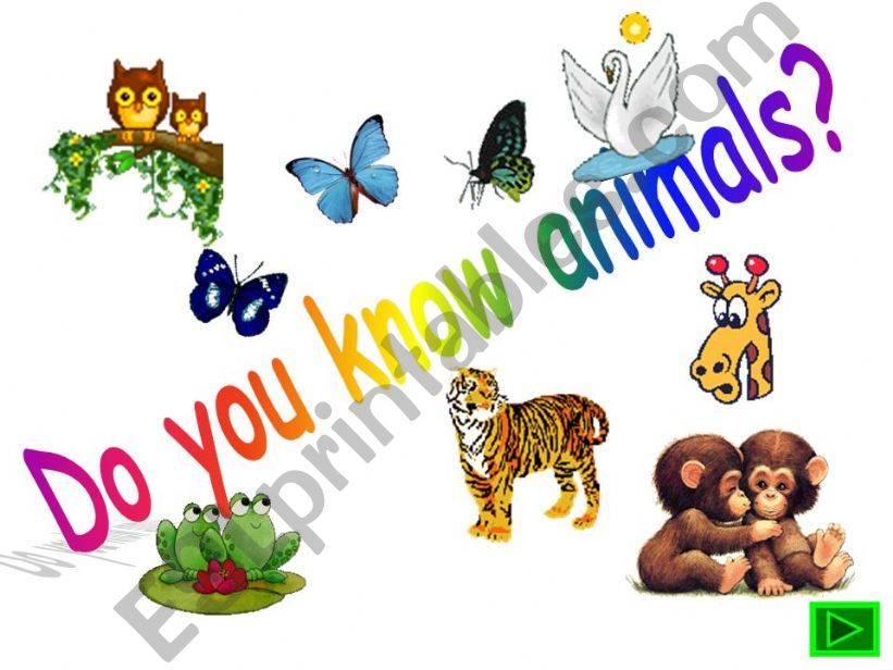 Animals_a ppt game_slides 1_2 powerpoint