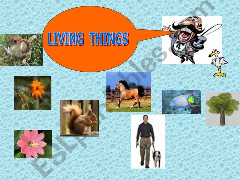 living non living things powerpoint