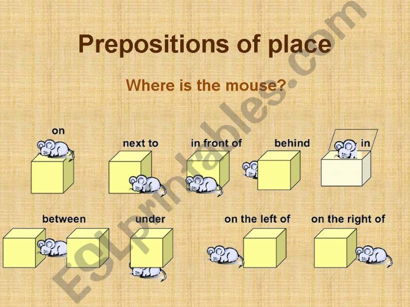 Prepositions of place powerpoint