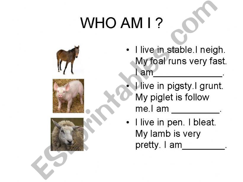 Animal worksheet 2-  who am I?