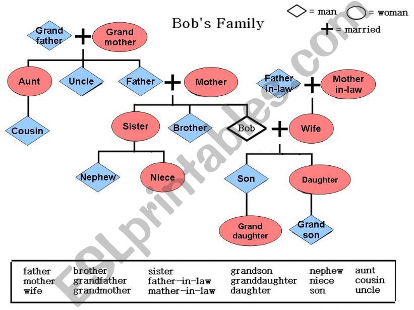 Family Tree review powerpoint