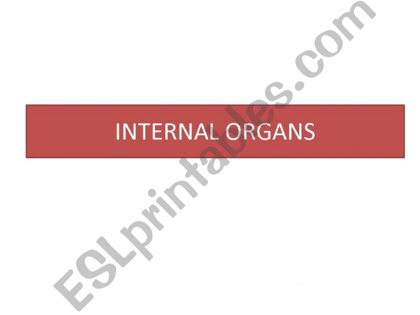 Internal Organs powerpoint
