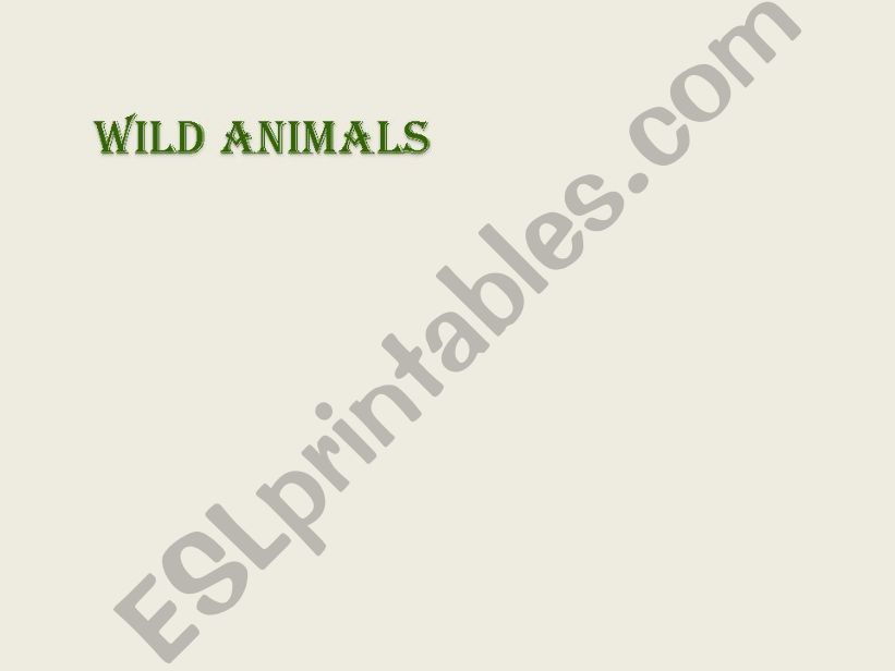 Wild Animals powerpoint