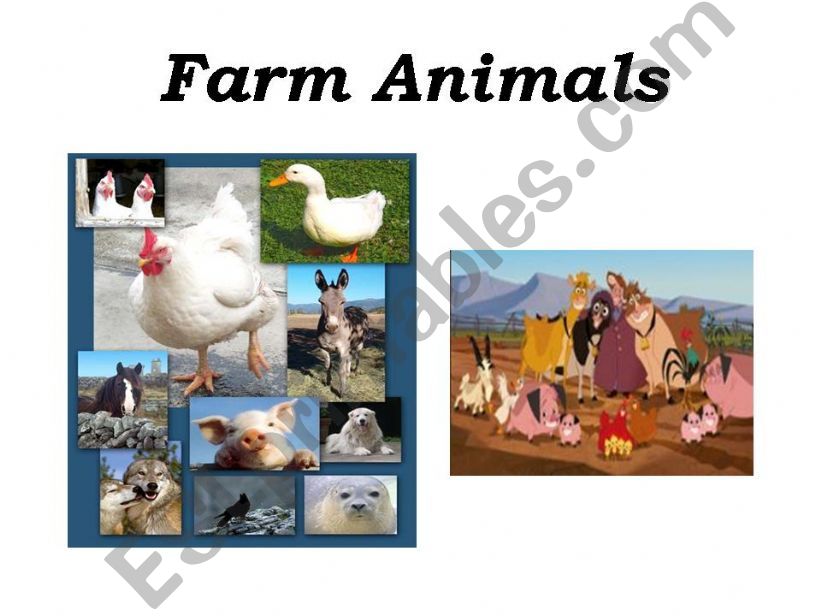 farm animals1 powerpoint