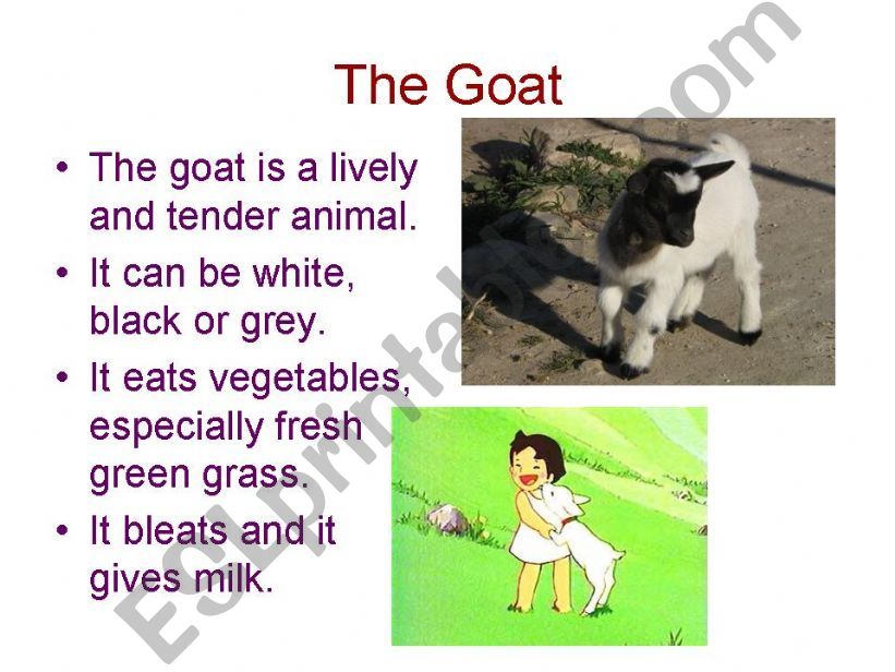 fam animals3 powerpoint