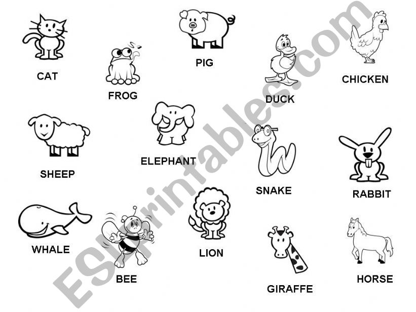 Pictures of animals powerpoint