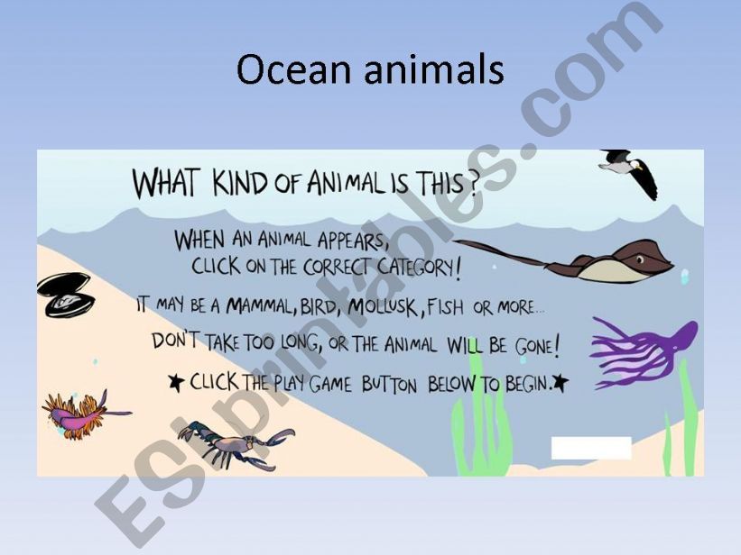 Ocean animals powerpoint
