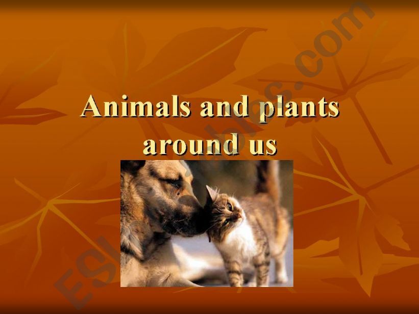 animals and plants around us powerpoint