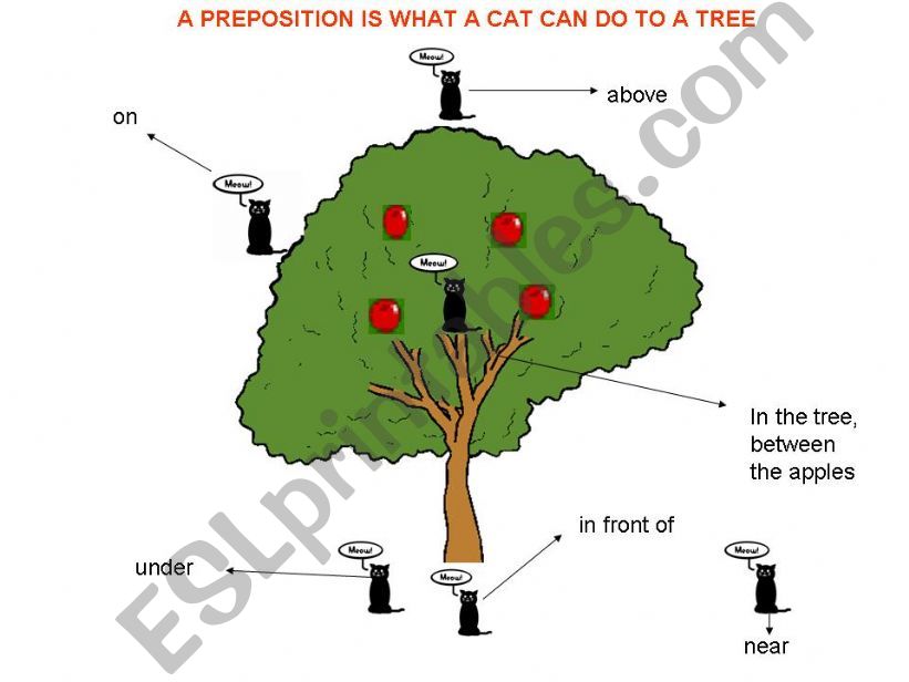 Catty Prepositions  powerpoint
