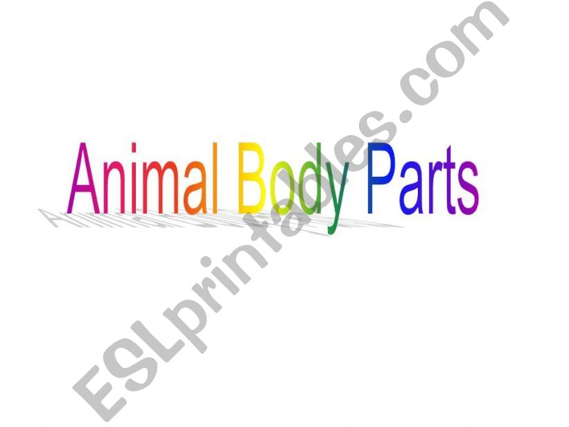 animal body parts powerpoint