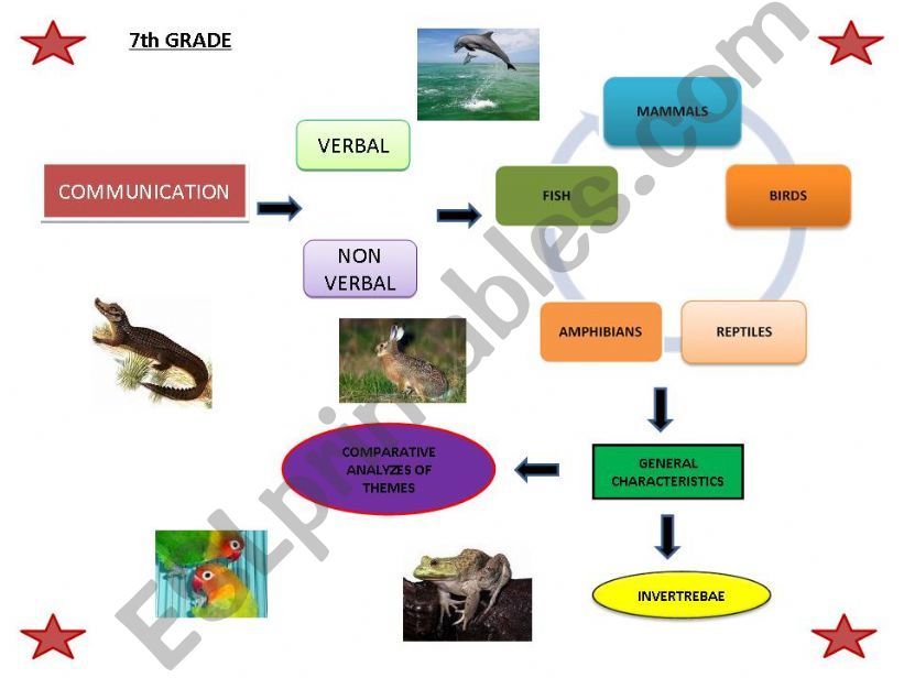 Science/English communication among animals