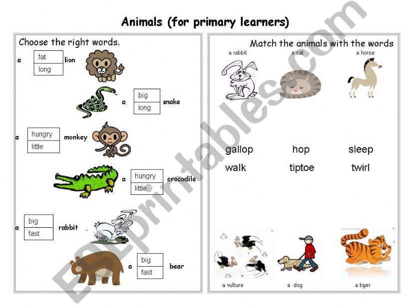 Animals (for primary learners)