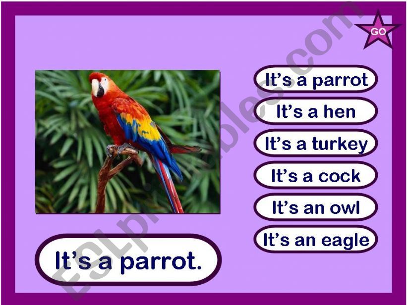 Birds 1 powerpoint