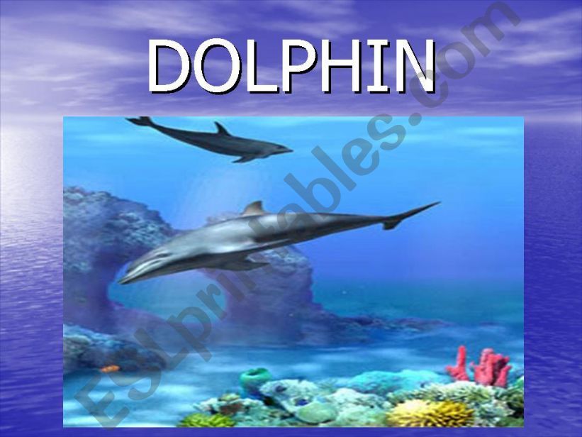 Doiphin  / lyrics / powerpoint