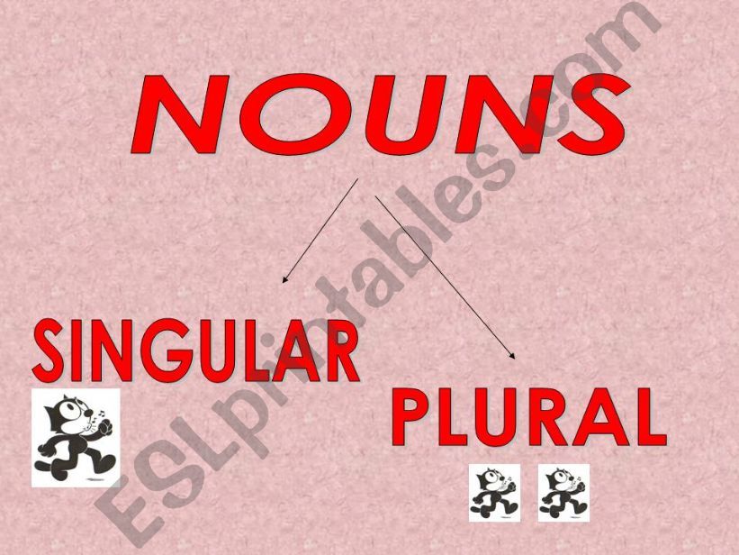 singular and plural nouns -1st part