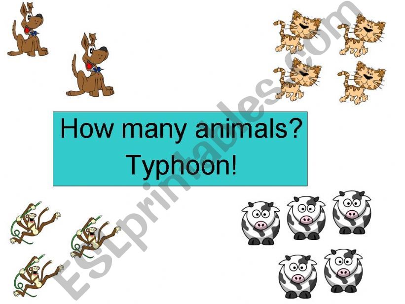 How many animals? Typhoon game!