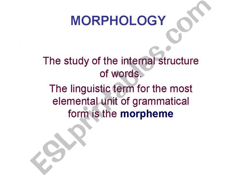 morphology powerpoint