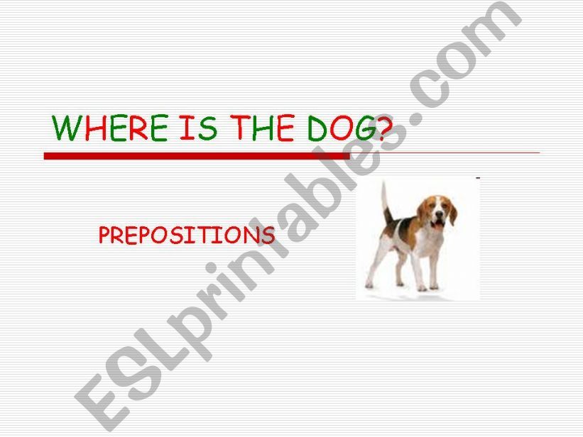 Where is the dog? Prepositions