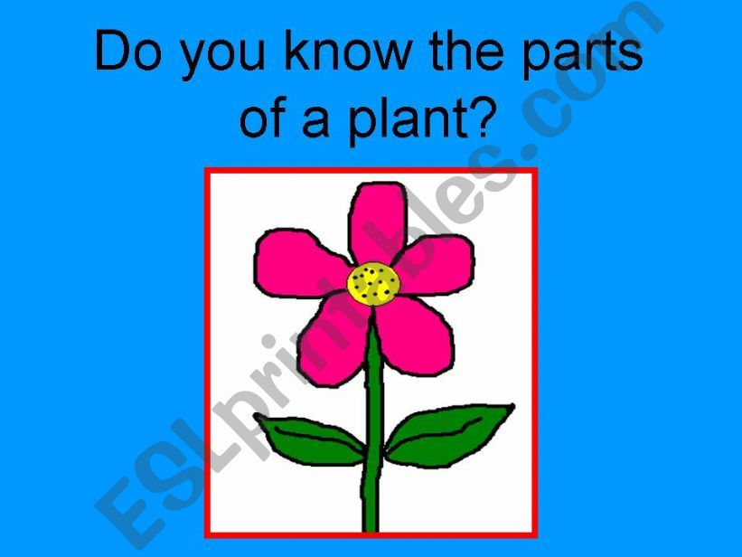 Parts of a plant game powerpoint
