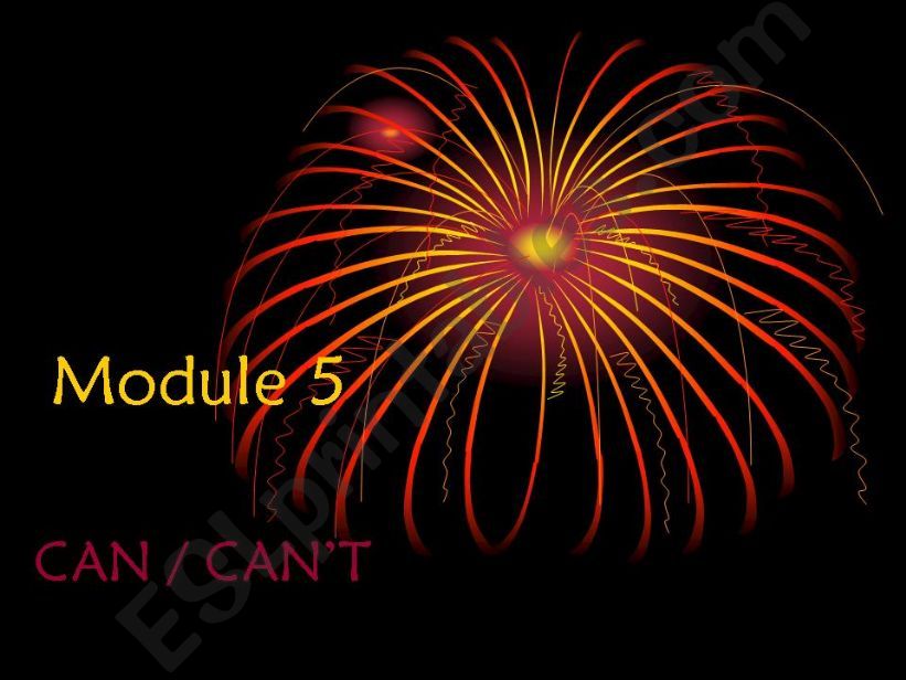 Can/ can´t powerpoint