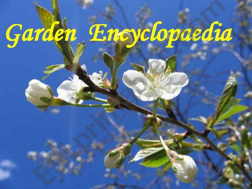 Garden Encyclopaedia - 2 powerpoint