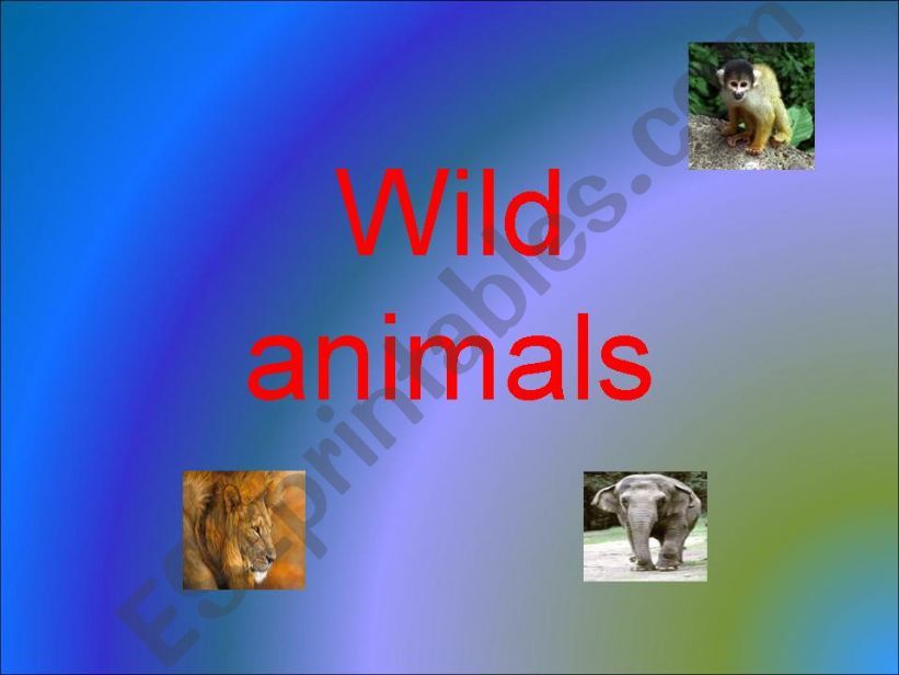 wild animals powerpoint