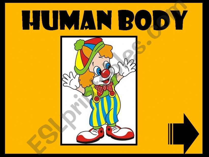HUMAN BODY - GAME powerpoint