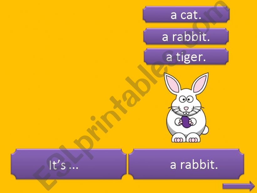 Animal Quiz - Part 3 (rabbit, leopard, bat)