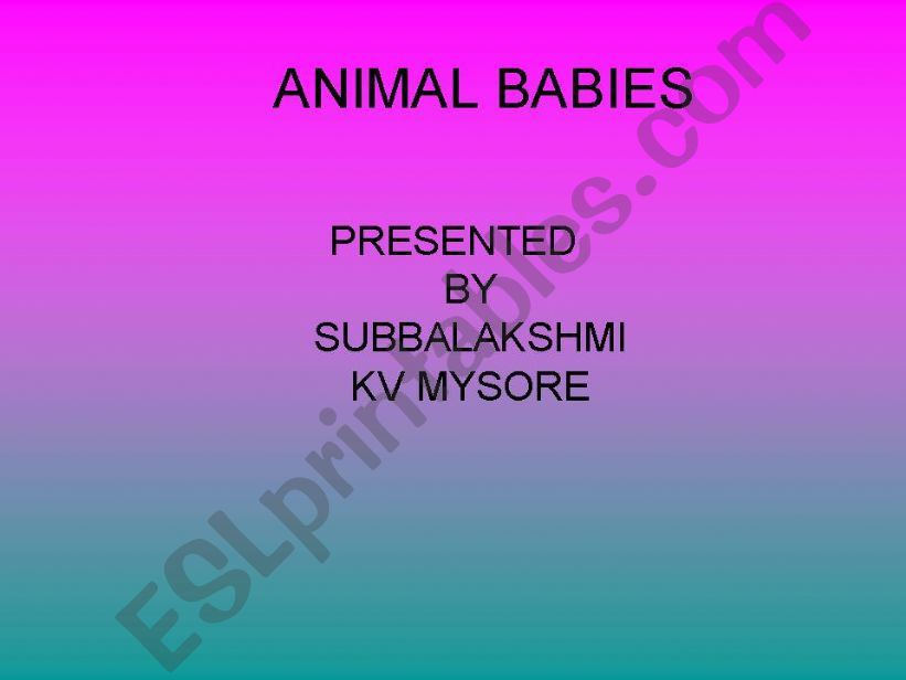 ANIMAL BABIES powerpoint