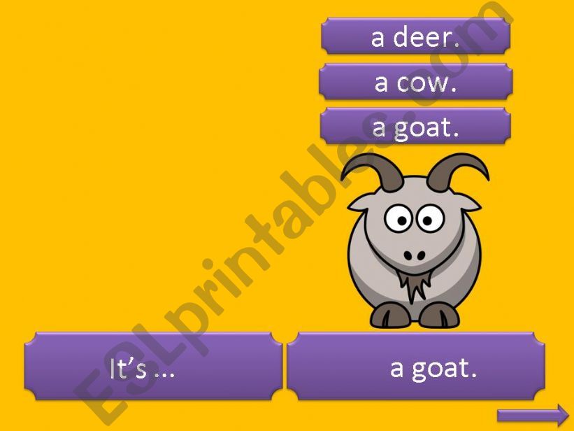 Animal Quiz - Part 4 (goat, seagull, donkey)