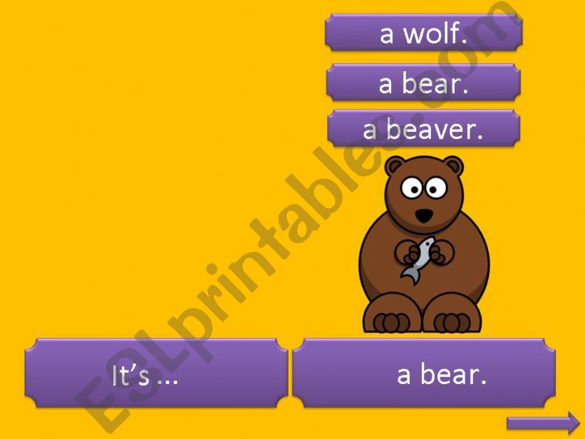 Animal Quiz - Part 4 (bear, kangaroo, wolf)