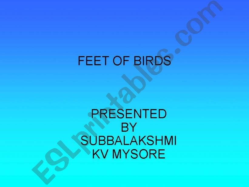 FEET OF BIRDS powerpoint