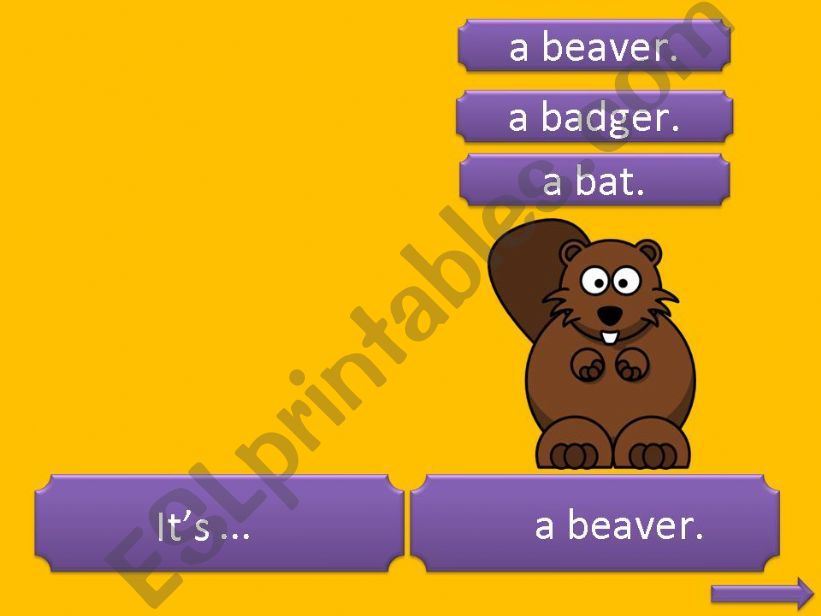 Animal Quiz - Part 5 (beaver, horse, giraffe)
