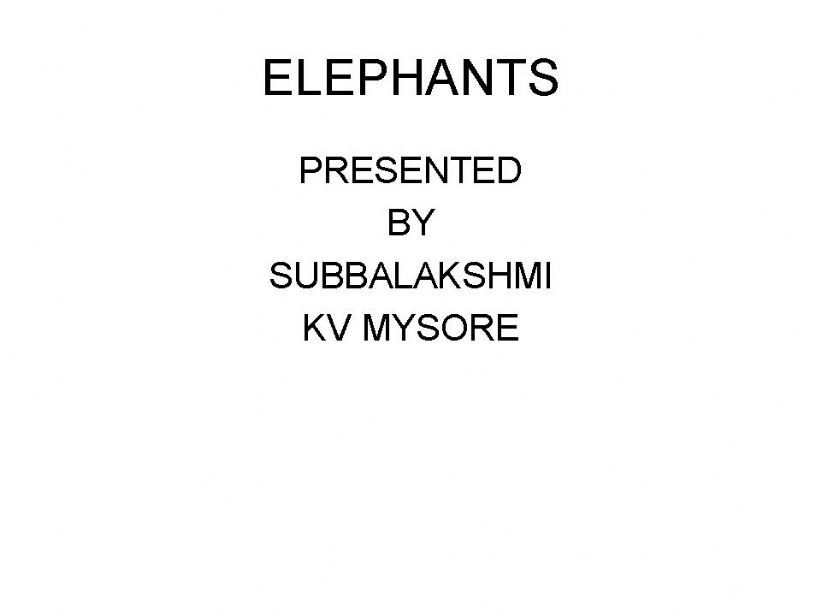 ELEPHANTS powerpoint