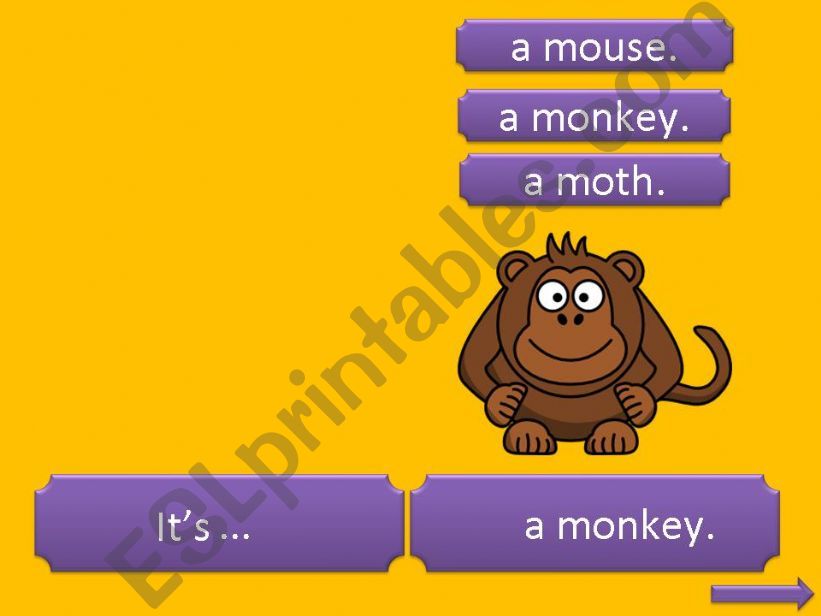 Animal Quiz - Part 6 (monkey, hippo, mouse)