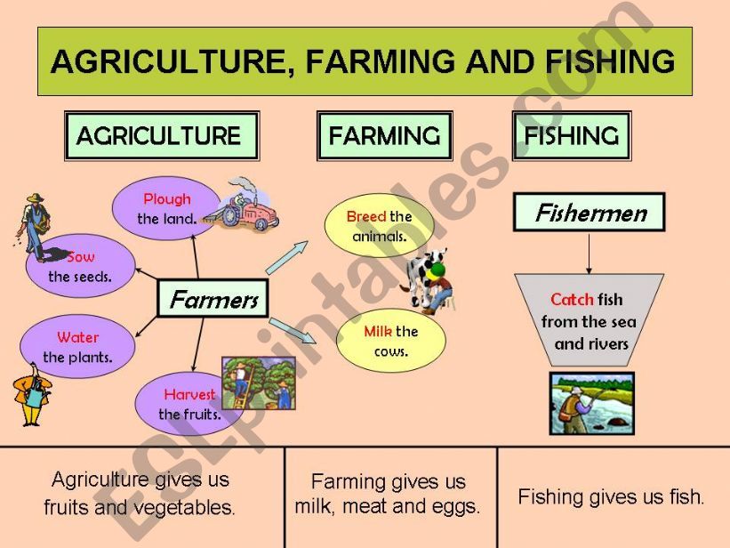 AGRICULTURE, FARMING AND FISHING 