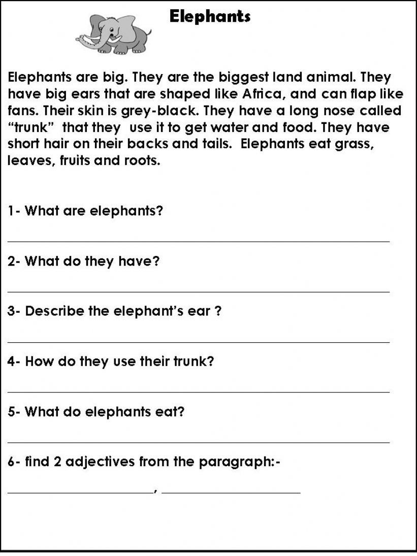 Elephants Facts powerpoint