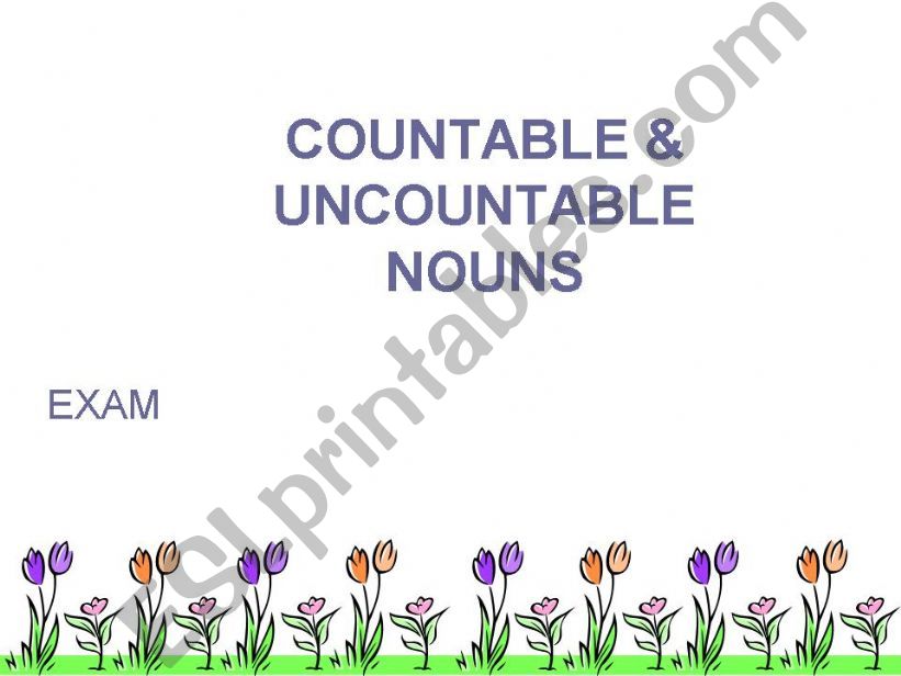 countable&uncountable nouns powerpoint
