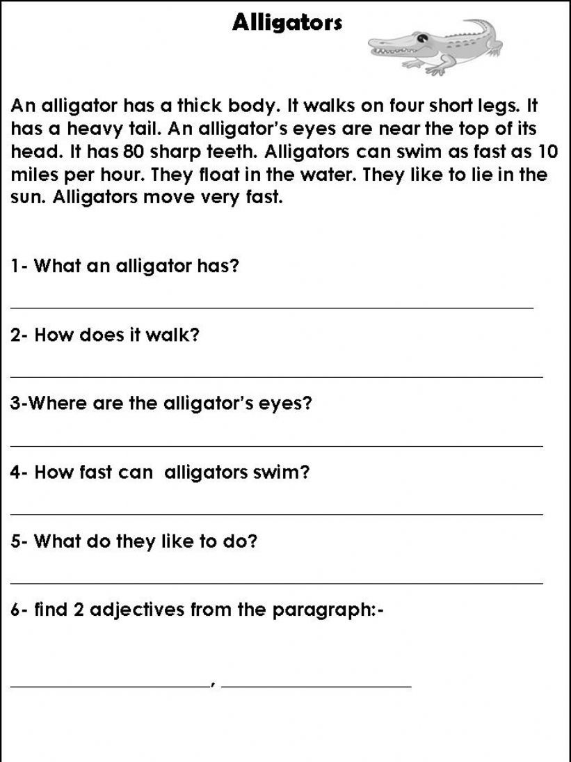 Alligator fact powerpoint