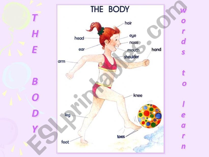 The Body powerpoint