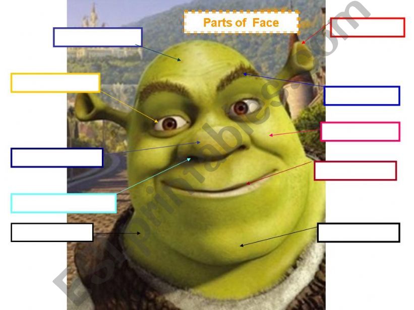 Parts of Face powerpoint