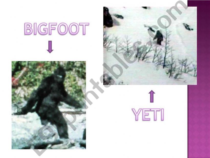bigfoot and the yeti powerpoint