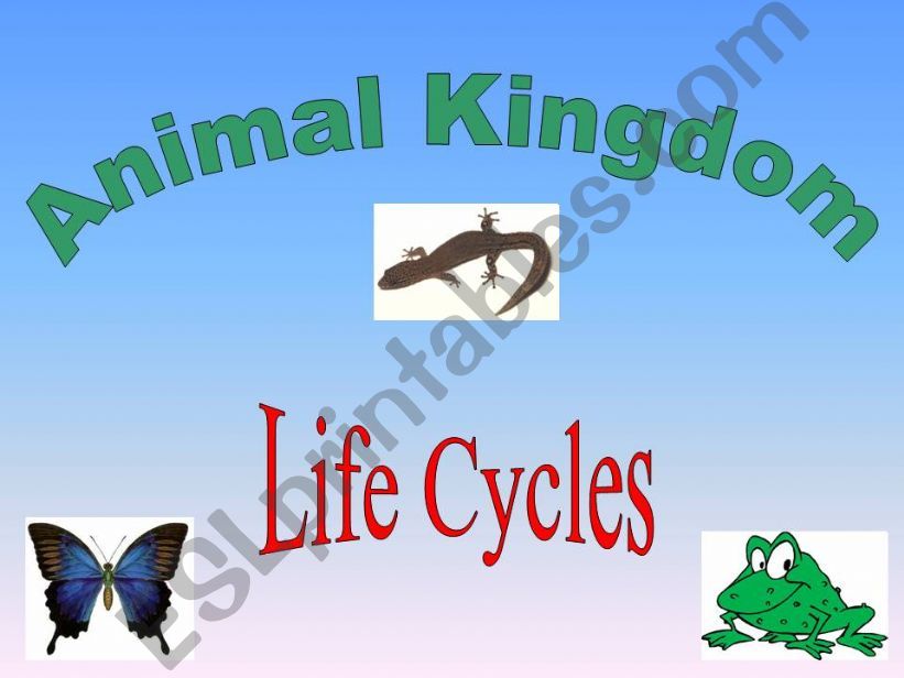 Jeopardy - Animals Kingdom/Life Cycles