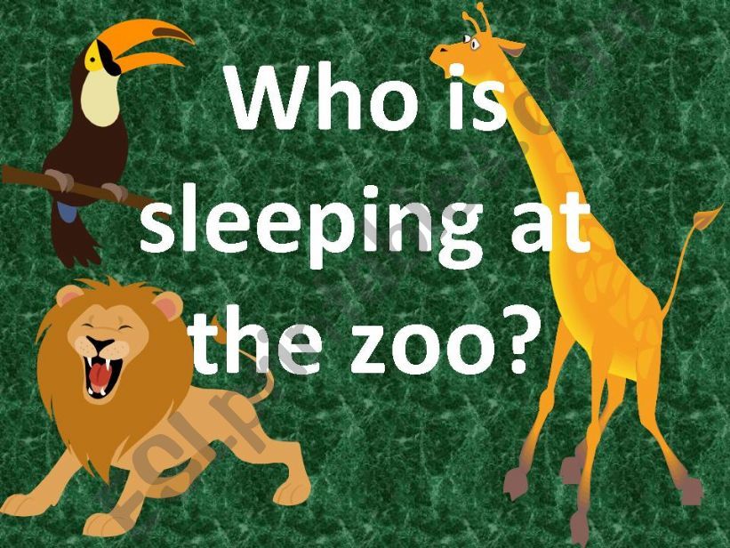 ESL - English PowerPoints: Zoo Animals