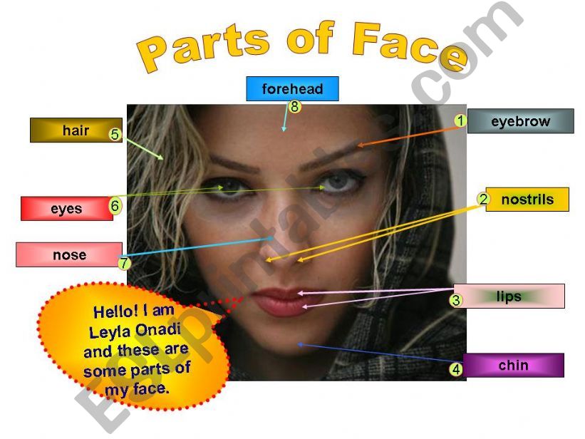 Parts of Face powerpoint