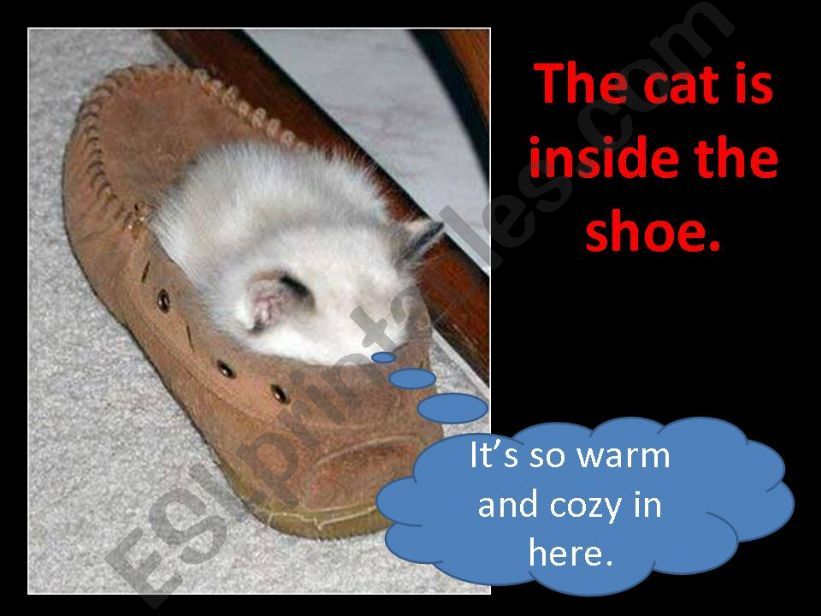 Where is the Cat? Part 2 powerpoint