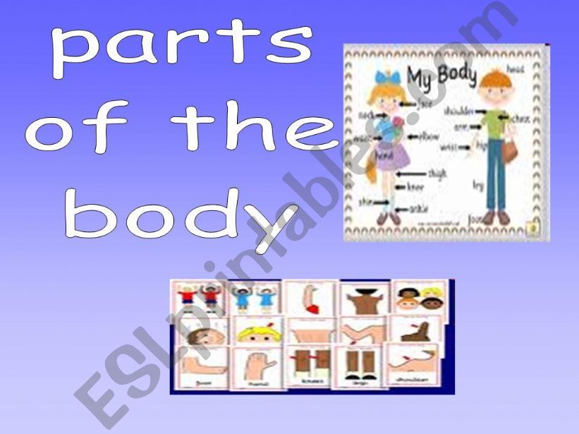 parts of the body powerpoint