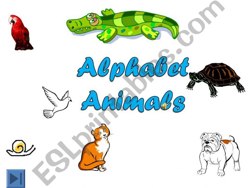 ABC Animals powerpoint