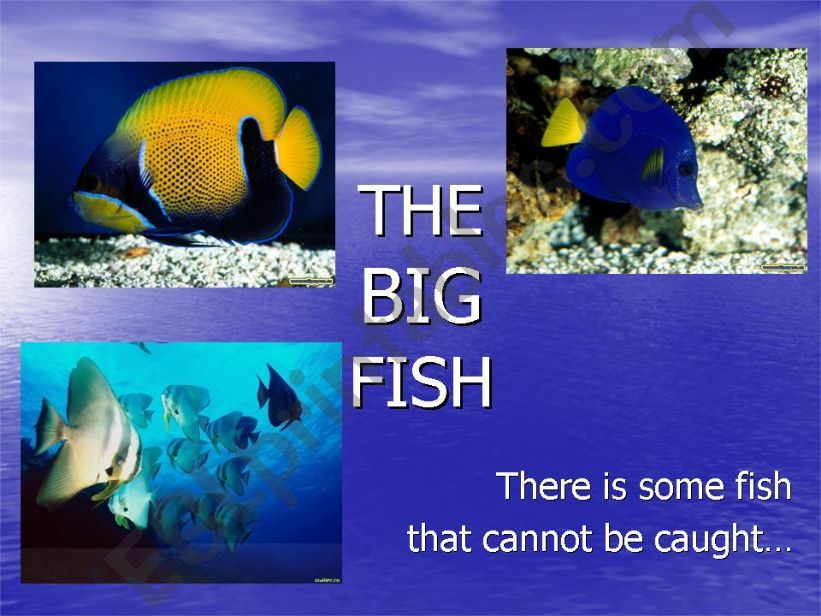 The Big Fish movie presentation