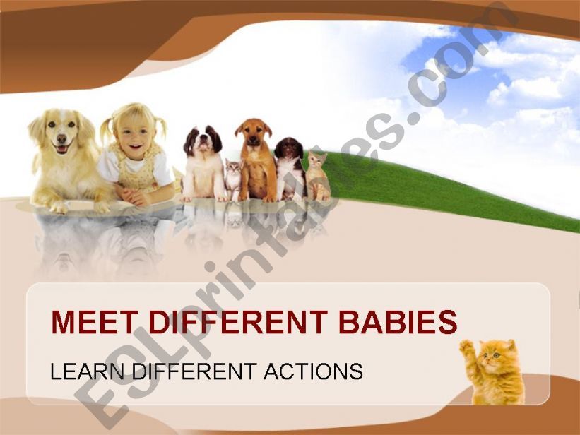 MEET DIFFERENT BABIES. powerpoint
